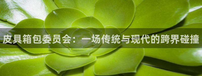 卧龙娱乐 找86555