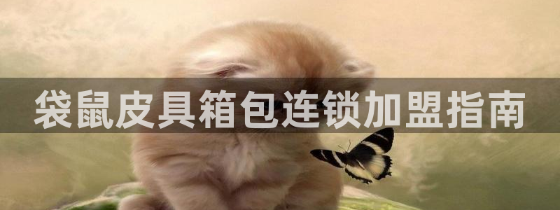 卧龙娱乐招商