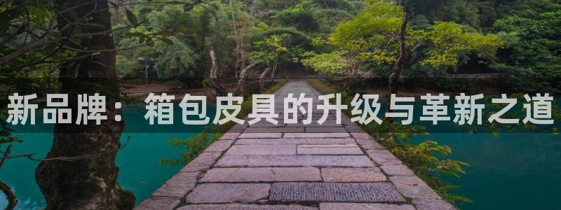 E彩娱乐 卧龙主管60447