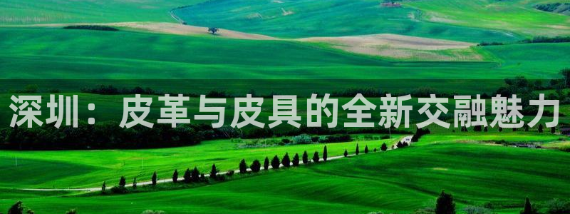 卧龙娱乐怎么不能注册