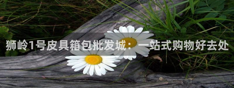 卧龙区凤凰娱乐