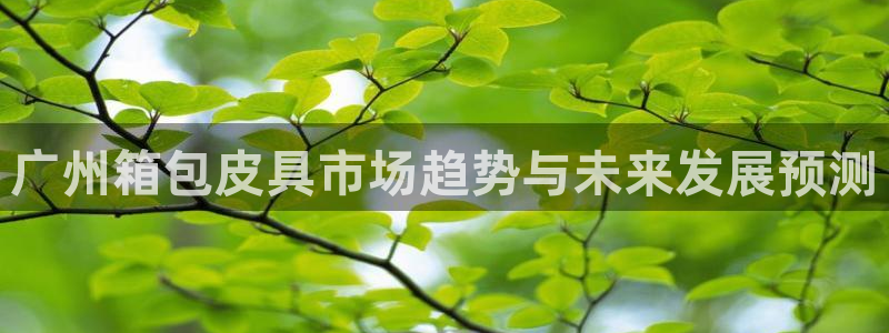 卧龙娱乐322901