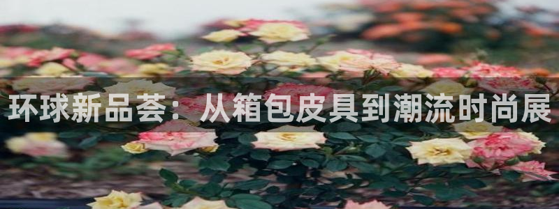 卧龙娱乐测速