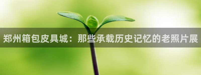 卧龙娱乐网址大全