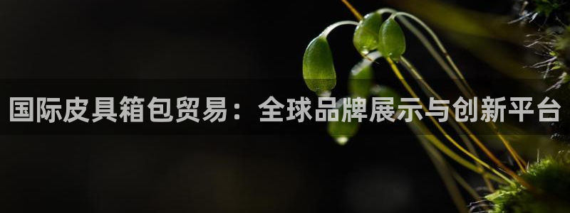 卧龙娱乐网址多少