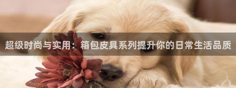 hr娱乐 扣卧龙60447