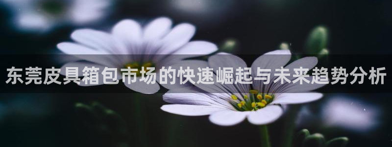 卧龙凤雏娱乐收入
