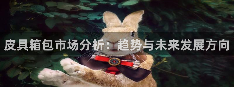 卧龙凤雏娱乐直播