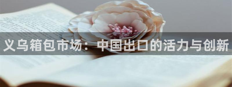 卧龙娱乐过山车