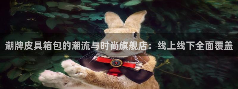 卧龙2神机娱乐代理