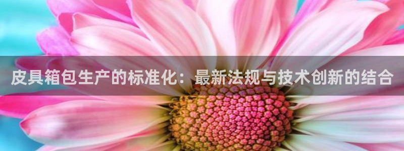 卧龙传统娱乐团购