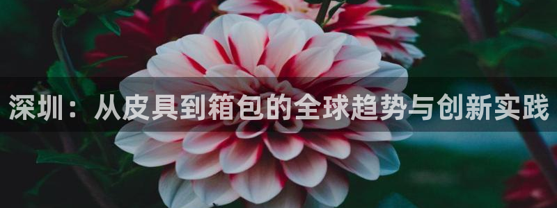 卧龙娱乐3月10日开