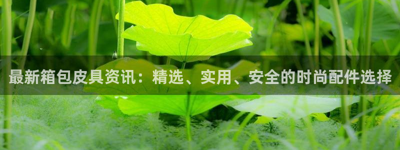 卧龙娱乐软件