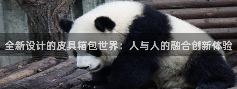 卧龙区夜晚娱乐