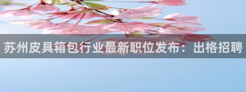 卧龙冲气娱乐设备