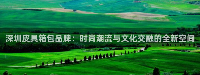 卧龙娱乐开户