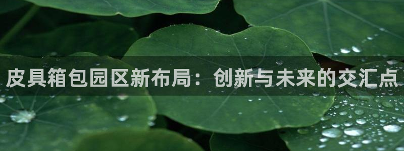 卧龙休闲娱乐推荐
