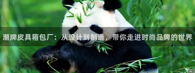 南阳卧龙区娱乐