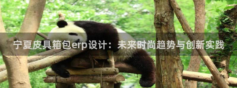 卧龙娱乐在线下载游戏