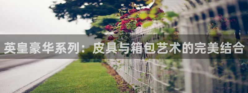 卧龙哥休闲娱乐