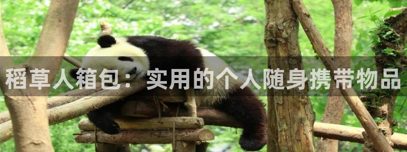 杏耀娱乐 0 47卧龙