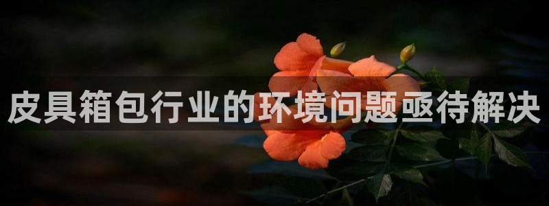 卧龙沟娱乐场