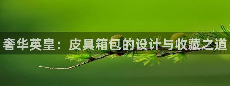 卧龙娱乐官网网址