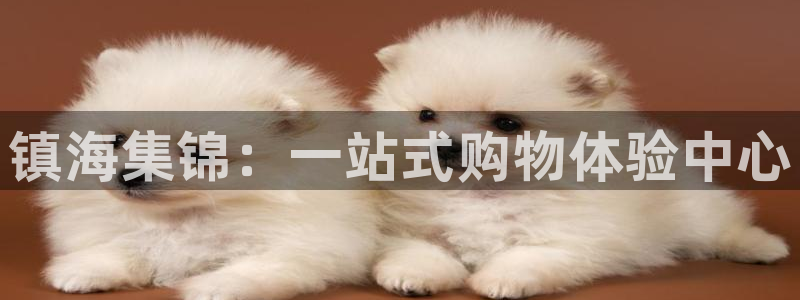 卧龙娱乐彩票中奖