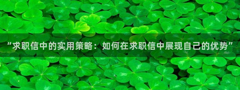 大娱乐家卧龙先生