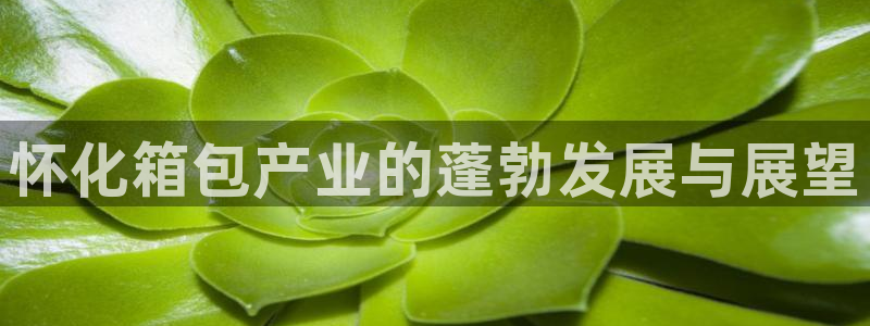 PT娱乐 扣卧龙60447
