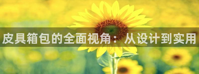 卧龙湾娱乐会所