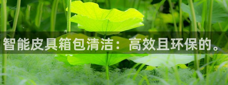 卧龙娱乐注册地址在哪里