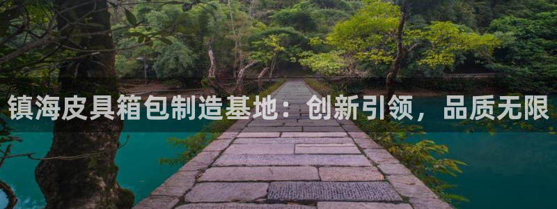 卧龙娱乐平台登录