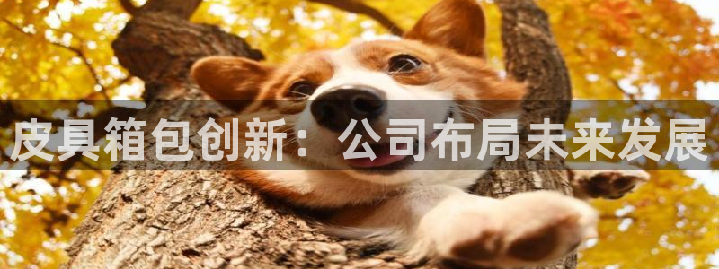 卧龙娱乐平台靠谱