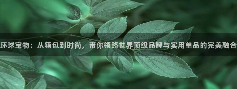 卧龙2神机娱乐代理