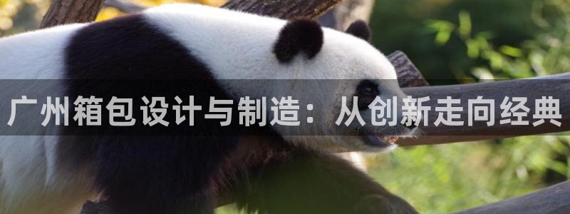 卧龙娱乐注册地址在哪里