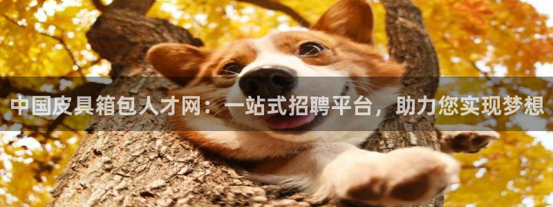 卧龙娱乐app下载