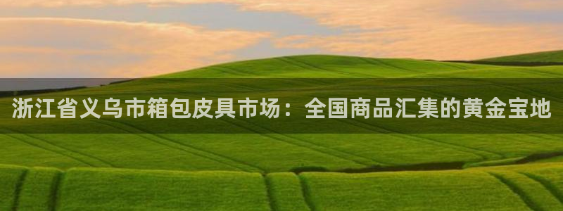 卧龙娱乐总管是谁