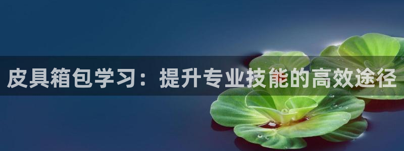 卧龙娱乐招商主管薪资