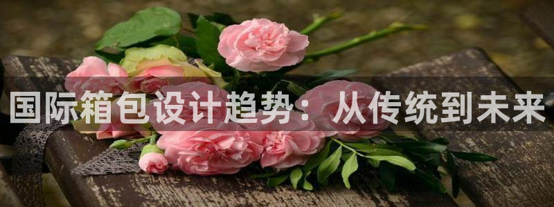 E彩娱乐 卧龙主管60447