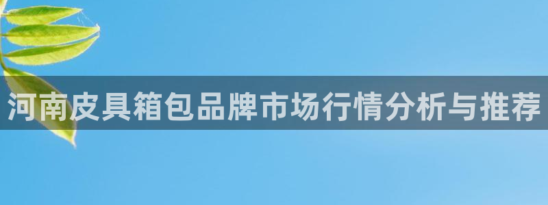 卧龙娱乐挂机软件