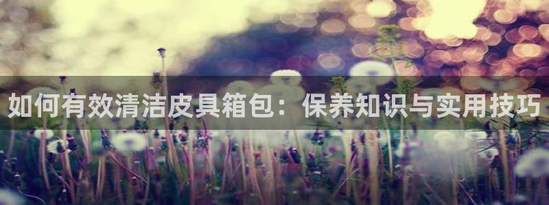 卧龙区娱乐设备