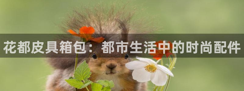 卧龙娱乐老板叫什么