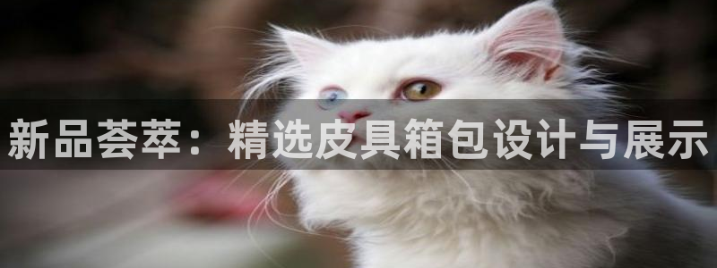 卧龙休闲娱乐人气推荐