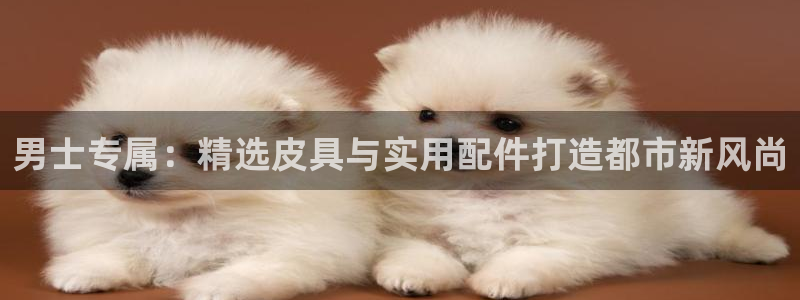 杏耀娱乐 0 47卧龙