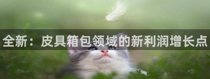 卧龙娱乐挂机软件下载