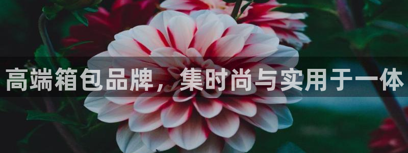 卧龙湾娱乐休闲会所电话