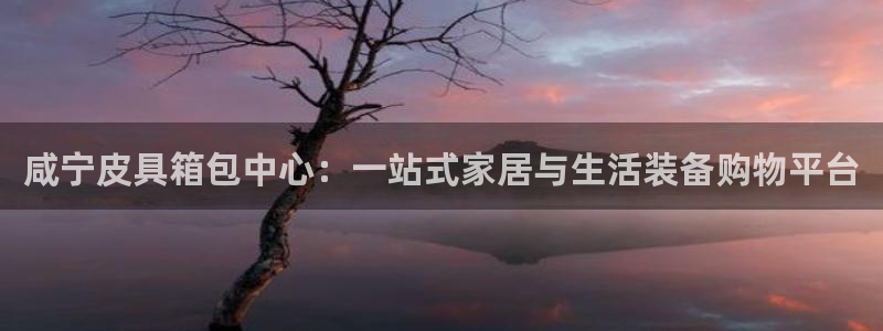 卧龙娱乐总代