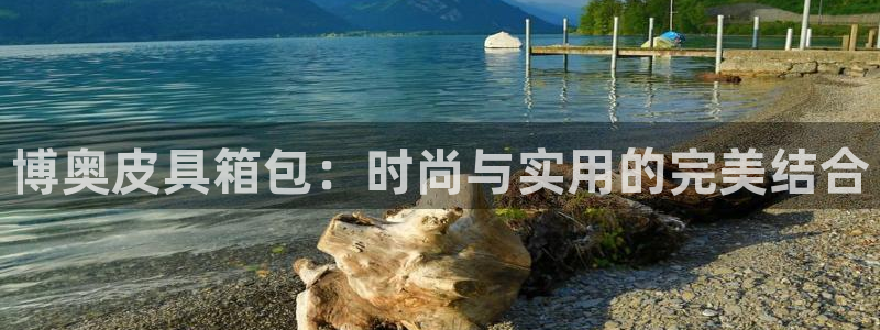 hr娱乐 扣卧龙60447