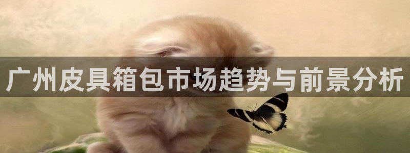 卧龙娱乐怎样注册账号